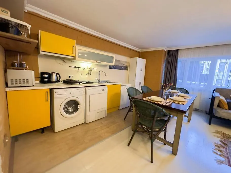 Comfortable Apartment In Istiklal Street İstanbul 0*,